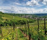 Weinlandschaft bei Stuttgart<br/><h7> © © Manuel Schönfeld - fotolia.de</h7>